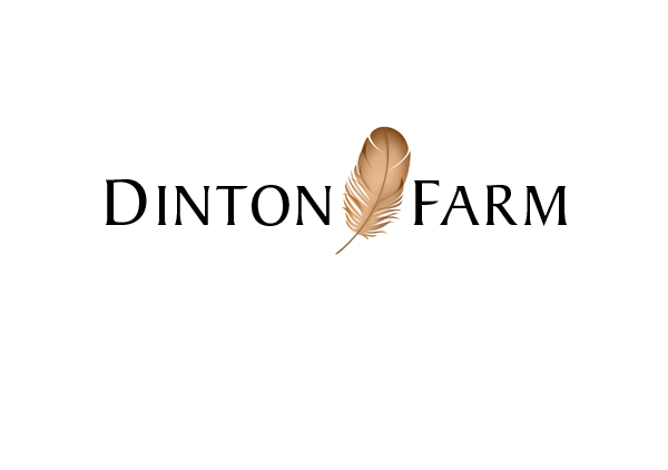 df_logo